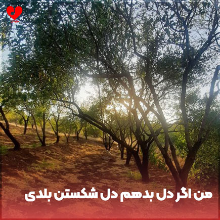 دانلود اهنگ من اگر دل بدهم دل شکستن بلدی دانلود اهنگ من اگر دل بدهم دل شکستن بلدی