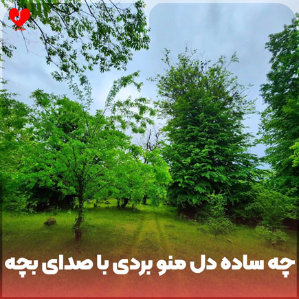 دانلود اهنگ چه ساده دل منو بردی با یه نگاهت با صدای بچه