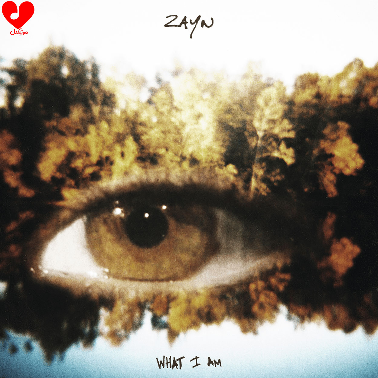 دانلود آهنگ What I Am از ZAYN + ترجمه فارسی