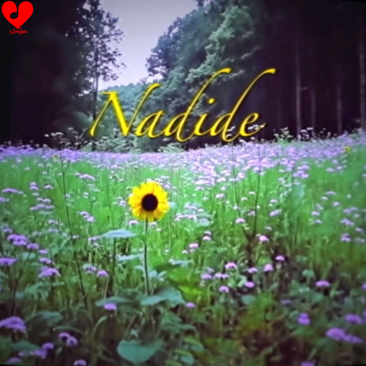 آهنگ Nadide از Reynmen
