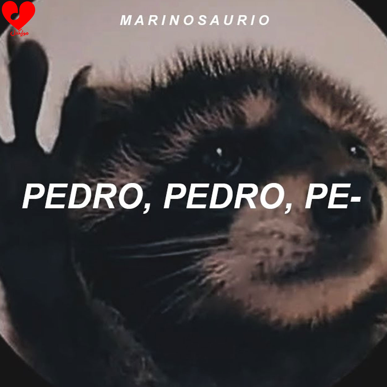 دانلود اهنگ پدرو پدرو pedro pedro