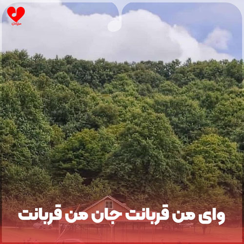 دانلود آهنگ وای من قربانت جان من قربانت دانلود آهنگ وای من قربانت جان من قربانت
